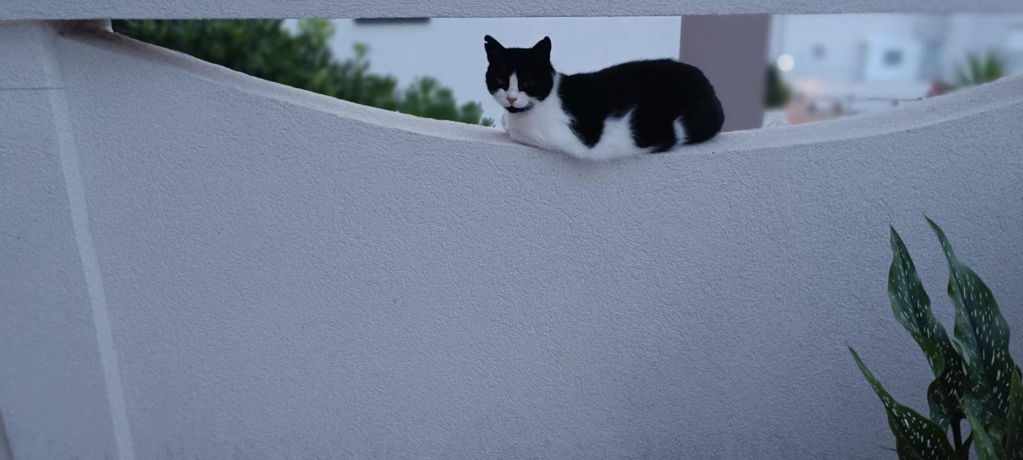 Apartmani Kunteja パグ エクステリア 写真
